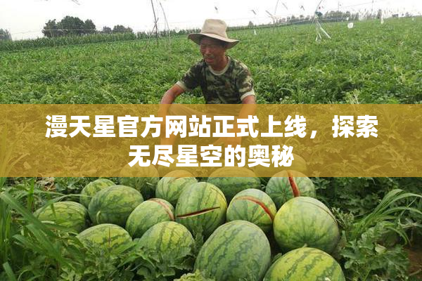 漫天星官方网站正式上线，探索无尽星空的奥秘