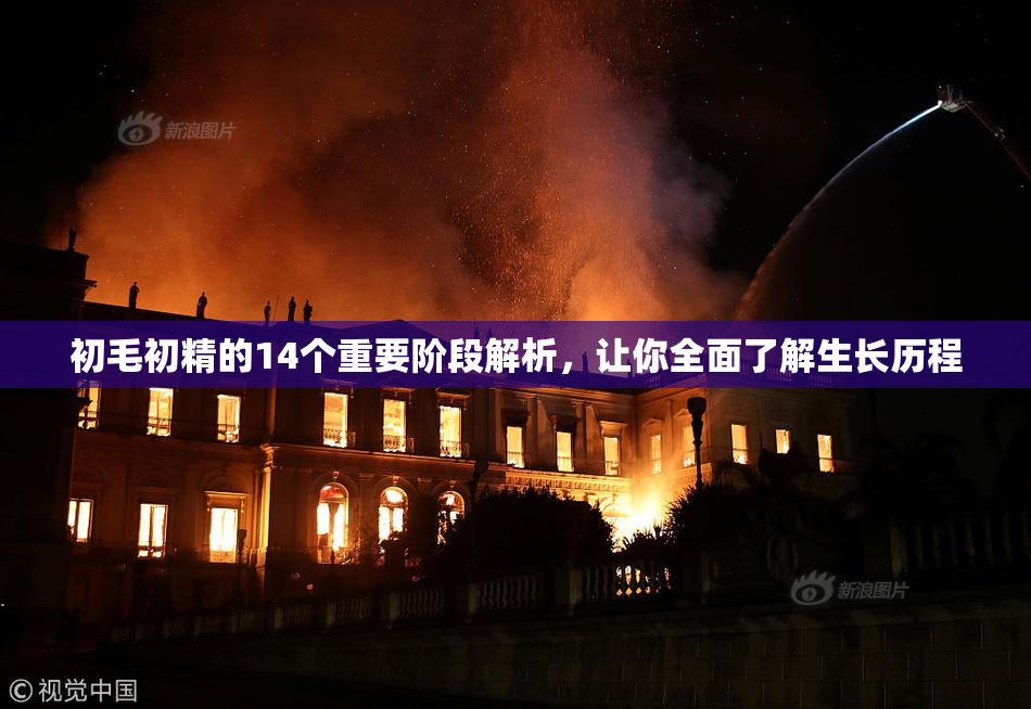 初毛初精的14个重要阶段解析，让你全面了解生长历程