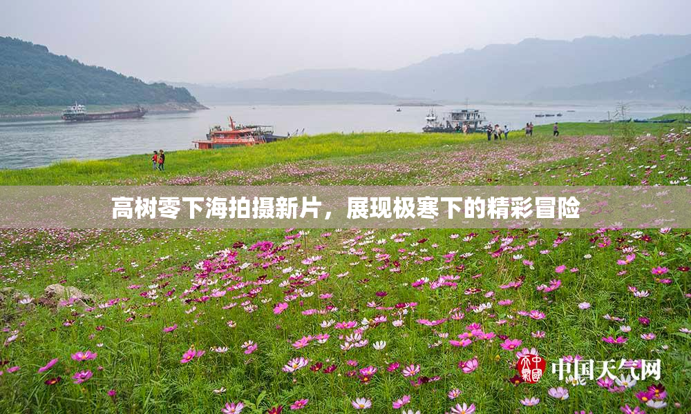 高树零下海拍摄新片，展现极寒下的精彩冒险