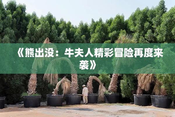 《熊出没：牛夫人精彩冒险再度来袭》