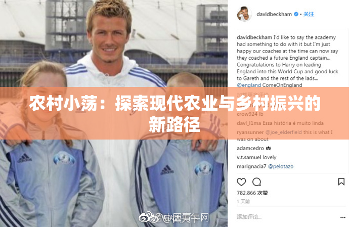 农村小荡：探索现代农业与乡村振兴的新路径