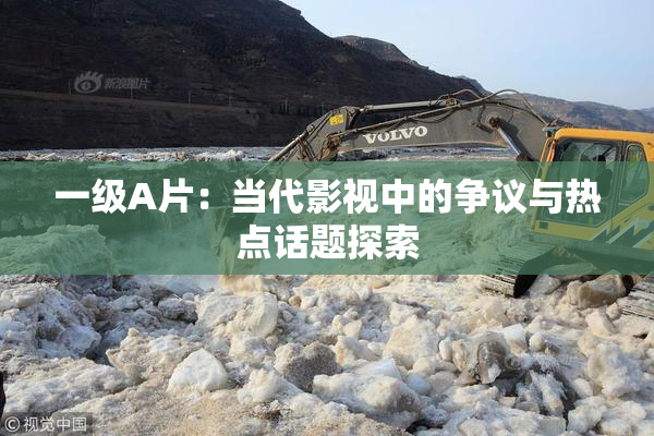一级A片：当代影视中的争议与热点话题探索