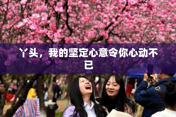 丫头，我的坚定心意令你心动不已