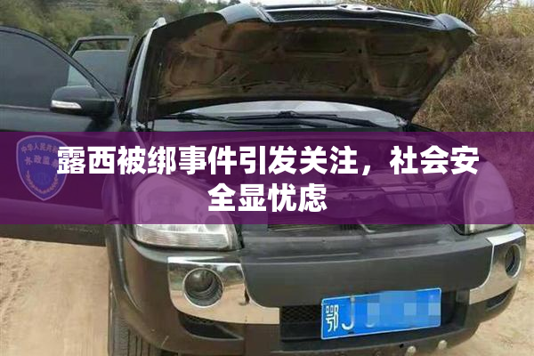露西被绑事件引发关注，社会安全显忧虑