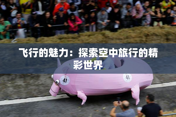 飞行的魅力：探索空中旅行的精彩世界