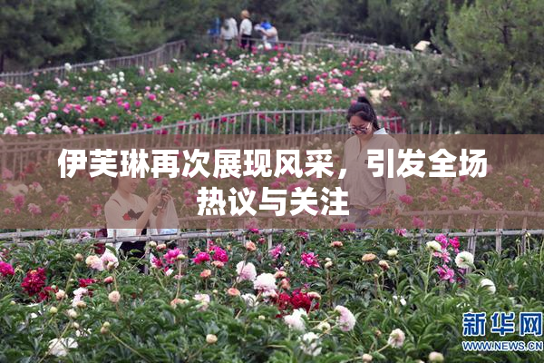伊芙琳再次展现风采，引发全场热议与关注