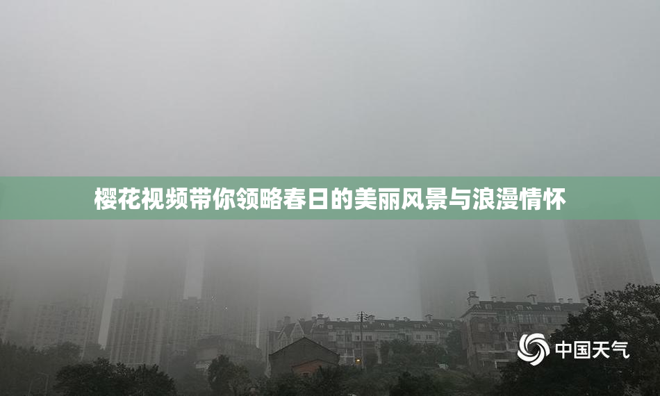 樱花视频带你领略春日的美丽风景与浪漫情怀