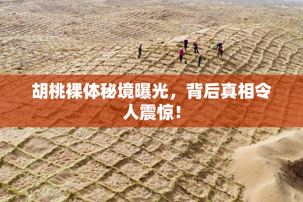 胡桃裸体秘境曝光，背后真相令人震惊！