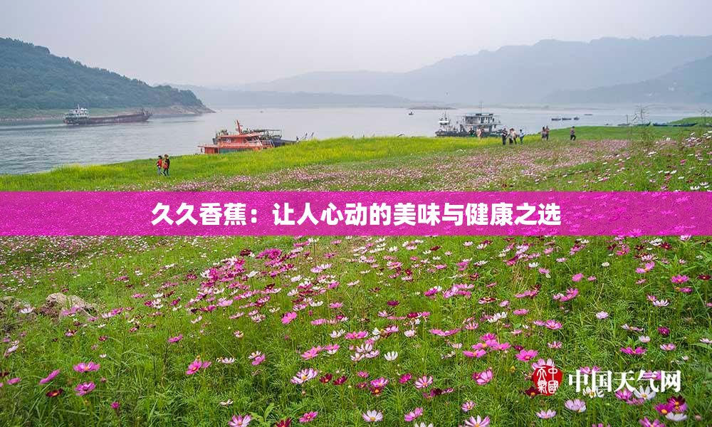 久久香蕉：让人心动的美味与健康之选