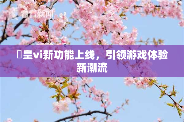 嘼皇vi新功能上线，引领游戏体验新潮流