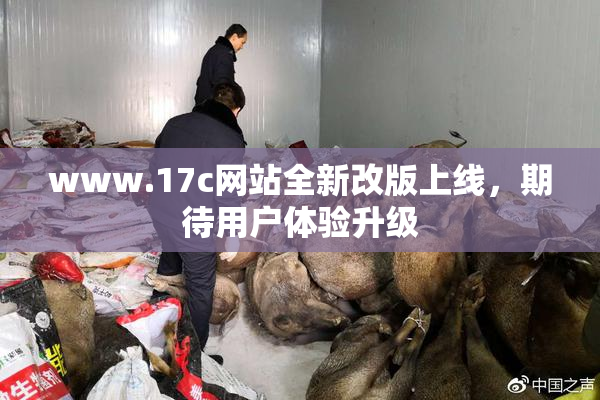 www.17c网站全新改版上线，期待用户体验升级