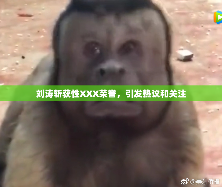 刘涛斩获性XXX荣誉，引发热议和关注