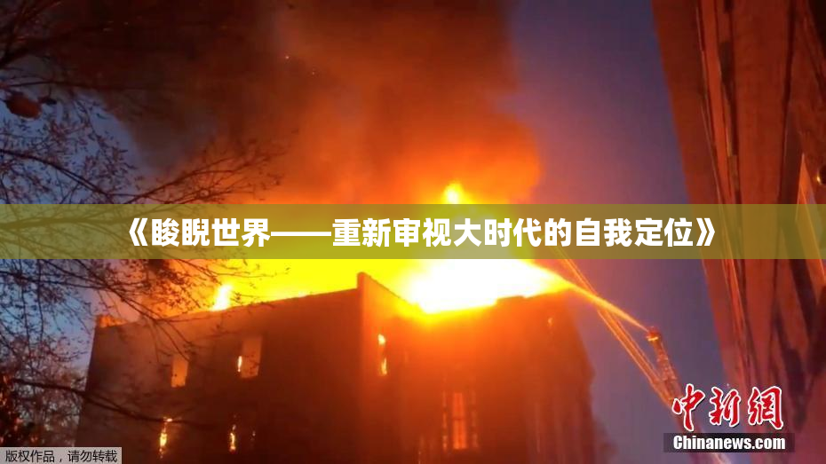 《睃睨世界——重新审视大时代的自我定位》
