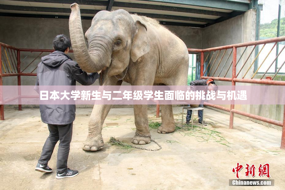 日本大学新生与二年级学生面临的挑战与机遇