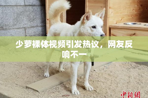 少萝裸体视频引发热议，网友反响不一