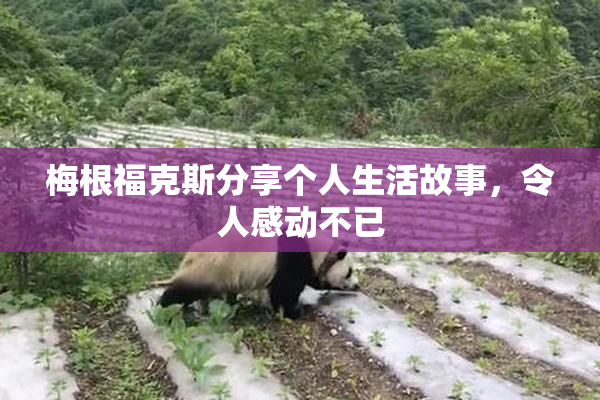 梅根福克斯分享个人生活故事，令人感动不已
