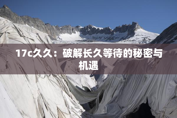 17c久久：破解长久等待的秘密与机遇