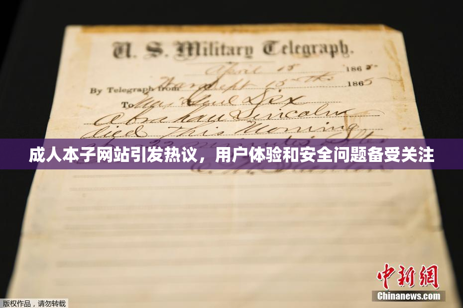 成人本子网站引发热议，用户体验和安全问题备受关注
