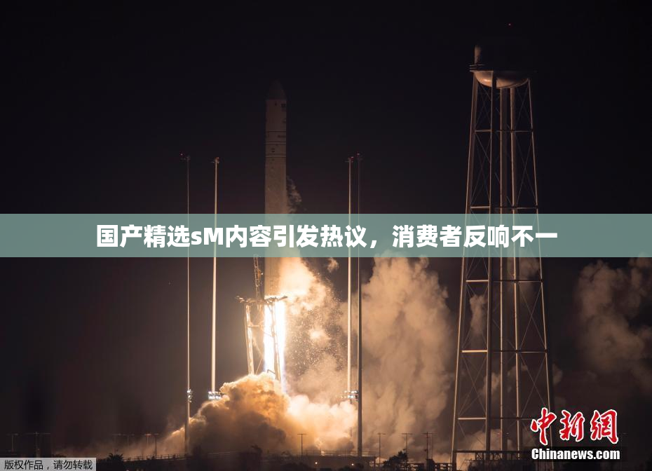 国产精选sM内容引发热议，消费者反响不一