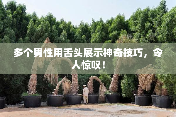 多个男性用舌头展示神奇技巧，令人惊叹！