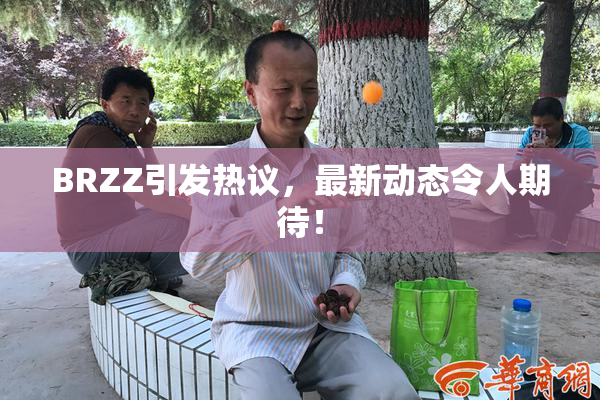 BRZZ引发热议，最新动态令人期待！