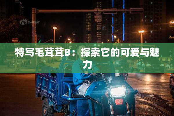 特写毛茸茸B：探索它的可爱与魅力