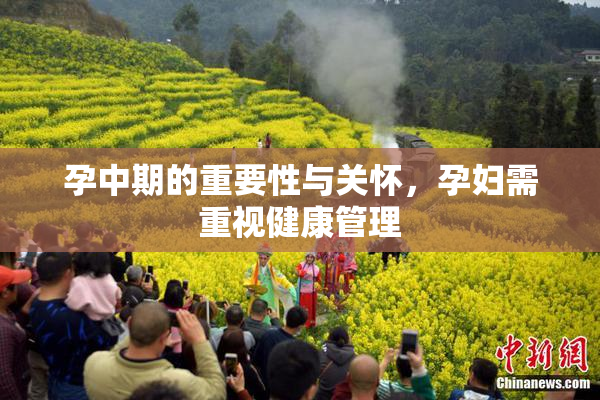 孕中期的重要性与关怀，孕妇需重视健康管理
