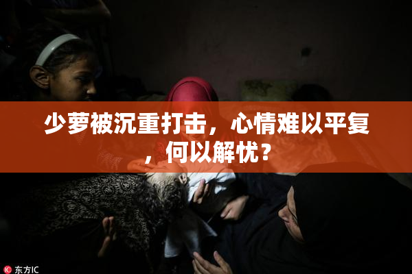 少萝被沉重打击，心情难以平复，何以解忧？