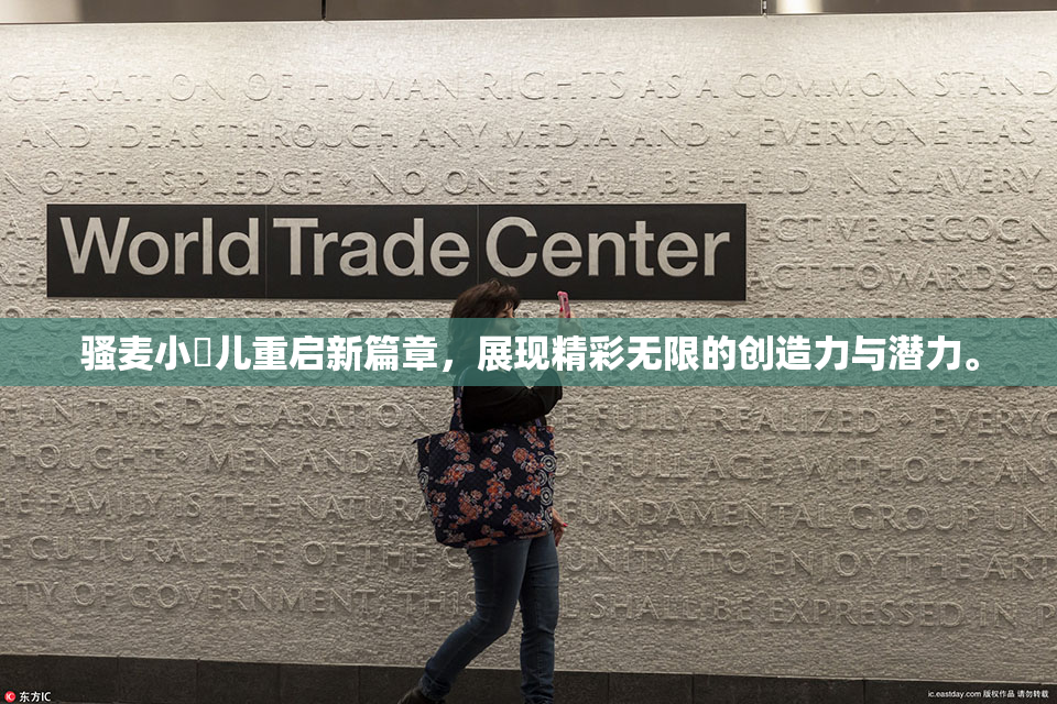 骚麦小苮儿重启新篇章，展现精彩无限的创造力与潜力。