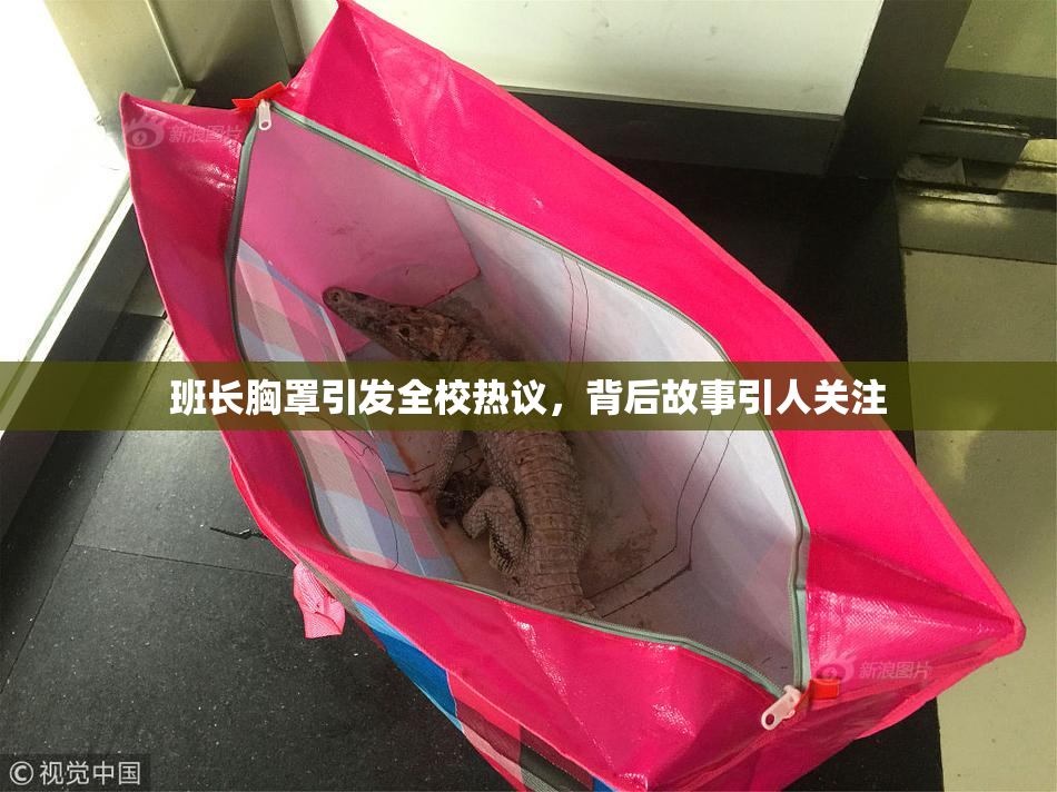 班长胸罩引发全校热议，背后故事引人关注