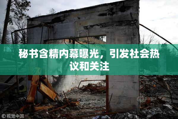 秘书含精内幕曝光，引发社会热议和关注