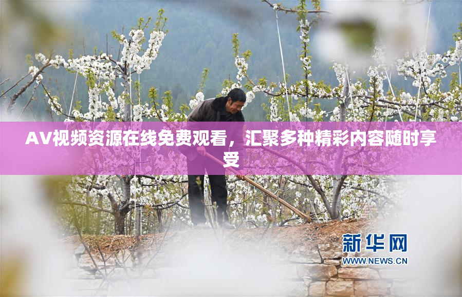 AV视频资源在线免费观看，汇聚多种精彩内容随时享受