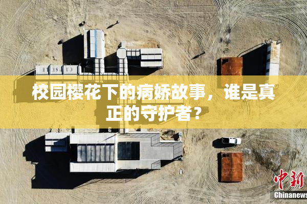校园樱花下的病娇故事，谁是真正的守护者？