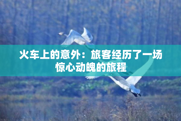 火车上的意外：旅客经历了一场惊心动魄的旅程
