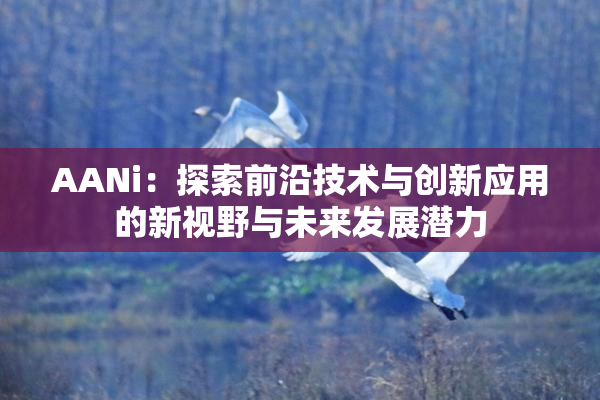 AANi：探索前沿技术与创新应用的新视野与未来发展潜力