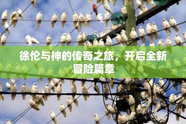 徐伦与神的传奇之旅，开启全新冒险篇章