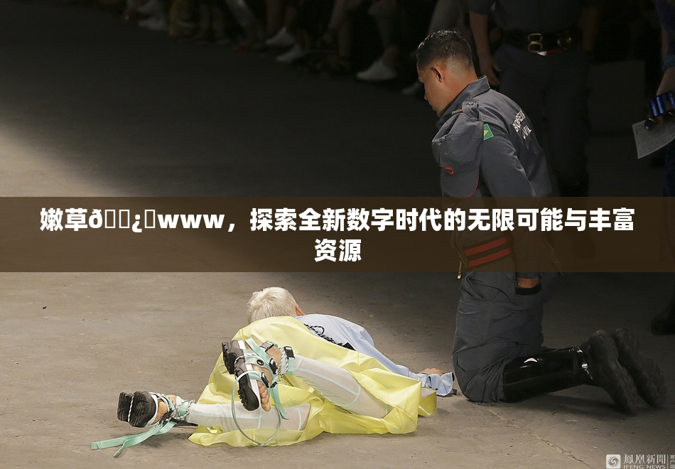 嫩草🌿‌www，探索全新数字时代的无限可能与丰富资源