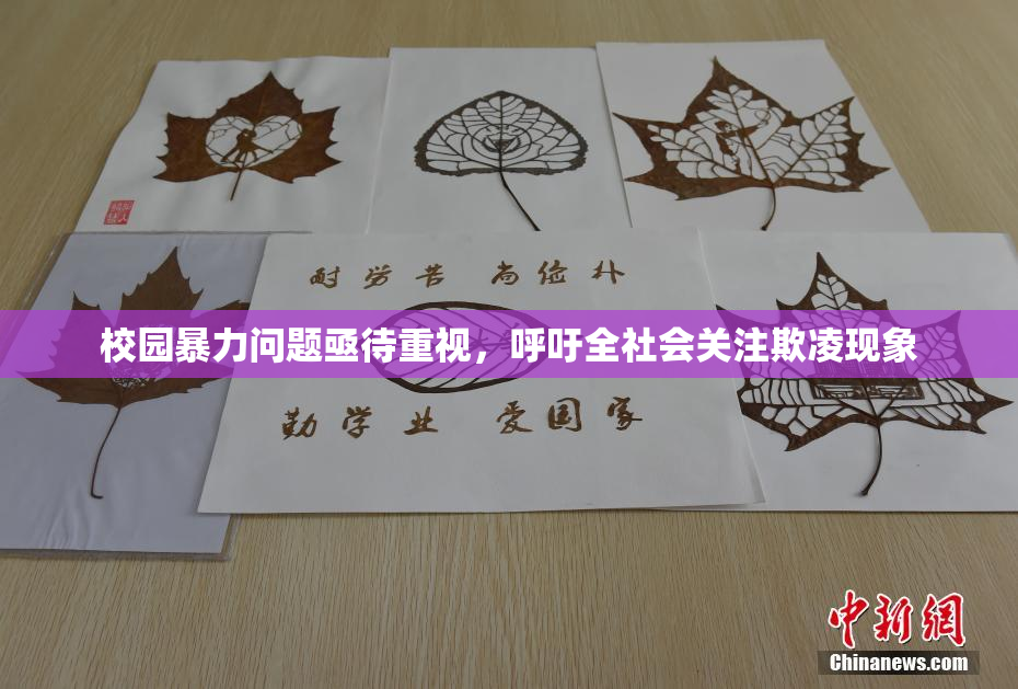 校园暴力问题亟待重视，呼吁全社会关注欺凌现象