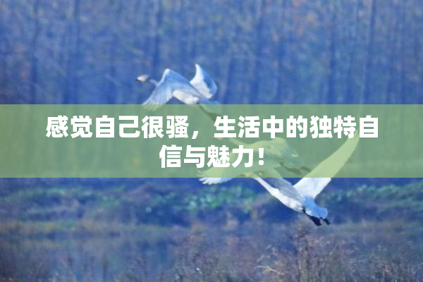 感觉自己很骚，生活中的独特自信与魅力！