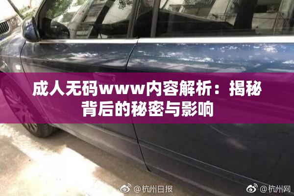 成人无码www内容解析：揭秘背后的秘密与影响