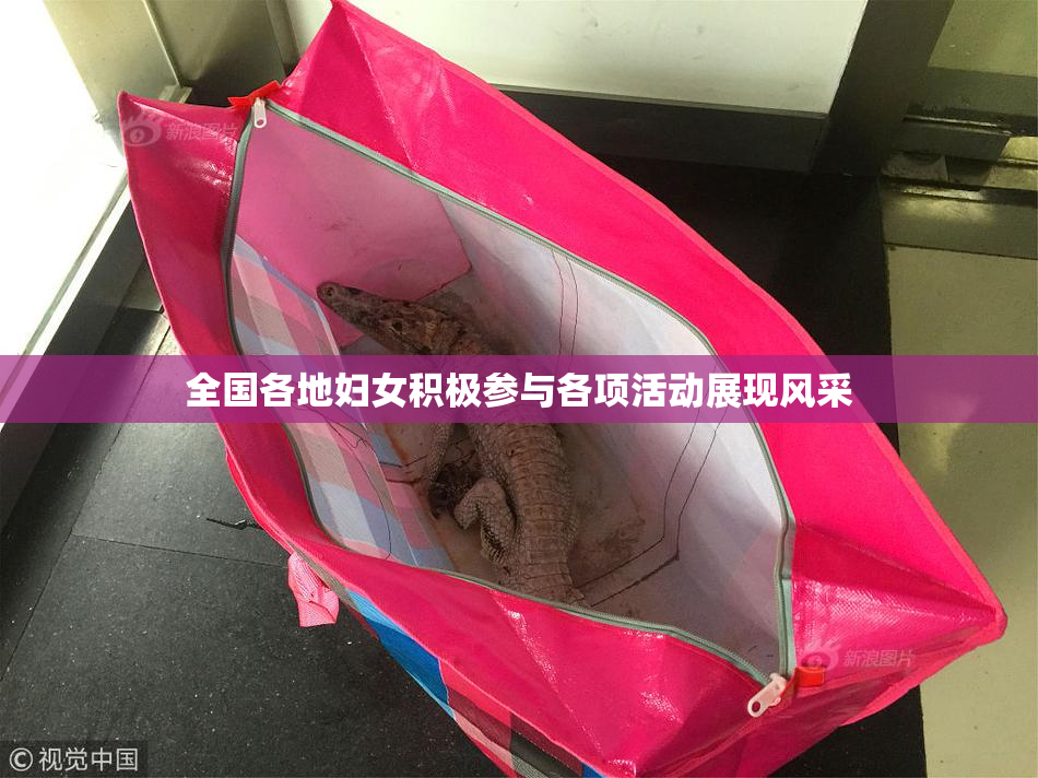 全国各地妇女积极参与各项活动展现风采