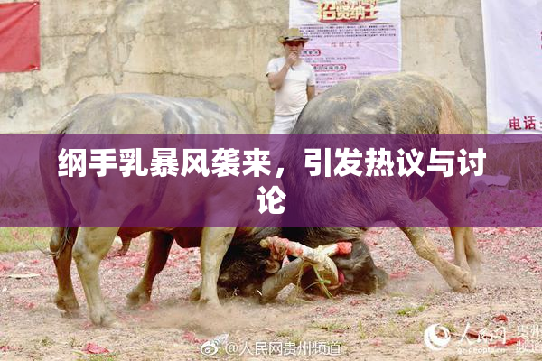 纲手乳暴风袭来，引发热议与讨论