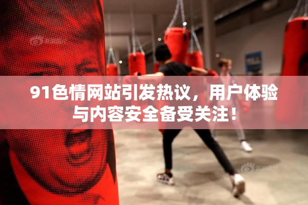 91色情网站引发热议，用户体验与内容安全备受关注！
