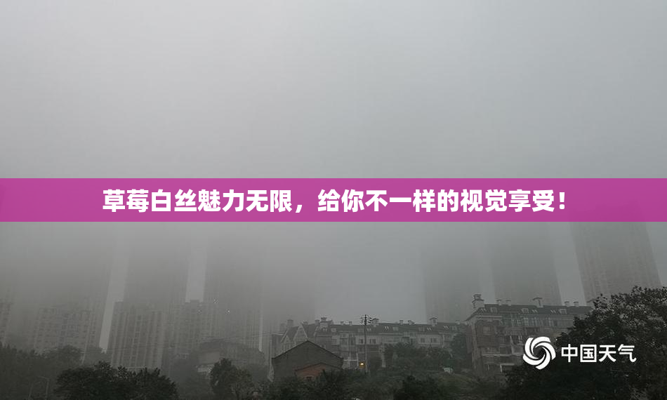 草莓白丝魅力无限，给你不一样的视觉享受！