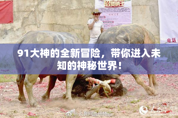 91大神的全新冒险，带你进入未知的神秘世界！