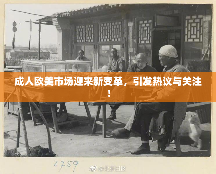 成人欧美市场迎来新变革，引发热议与关注！