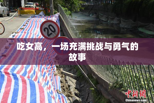 吃女高，一场充满挑战与勇气的故事