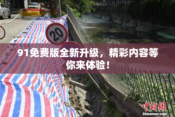 91免费版全新升级，精彩内容等你来体验！