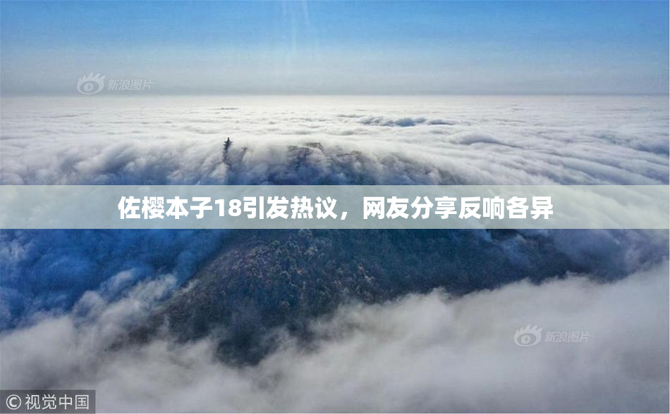 佐樱本子18引发热议，网友分享反响各异