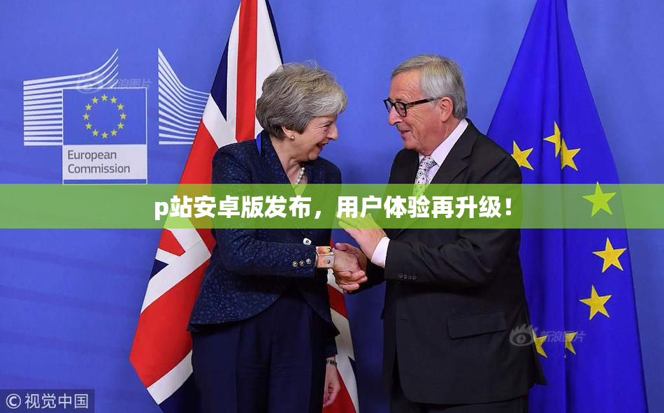 p站安卓版发布，用户体验再升级！